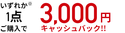 いずれか１点※ご購入で3,000円キャッシュバック！！