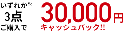 いずれか３点※ご購入で30,000円キャッシュバック！！