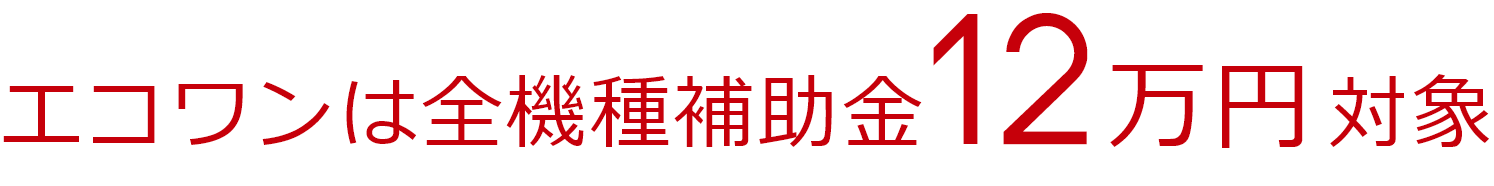 「エコワン」補助金12万円対象
