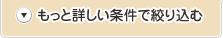 もっと詳しい条件で絞り込む